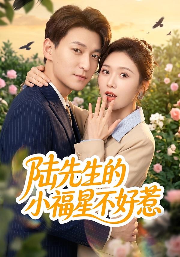 陆先生的小福星不好惹
